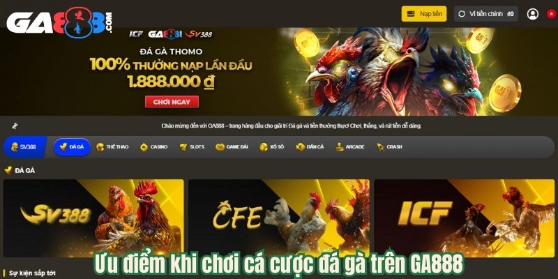 Ưu điểm khi chơi cá cược đá gà trên GA888