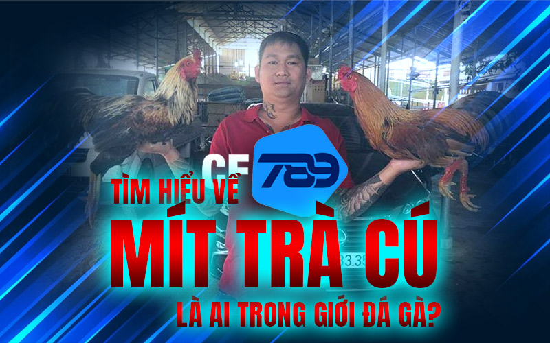 Tìm hiểu về Mít Trà Cú là ai trong giới đá gà?