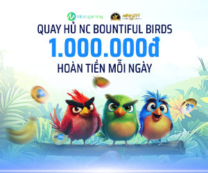 1,000,000 VND NC Bountiful Birds Hoàn tiền mỗi ngày