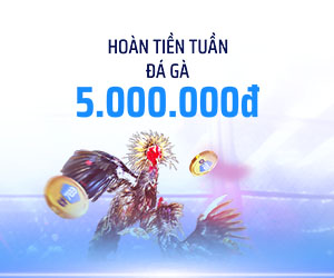 Đá Gà hoàn tiền tuần 3.88%