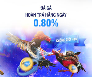 Đá Gà Hoàn trả mỗi ngày: 0.8%