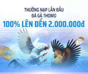 Đá Gà Gửi Tiền Lần Đầu: 100% lên đến 2.000.000 VND